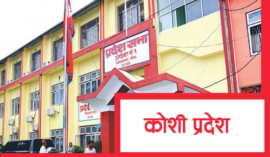 कोशीमा जसपाले विश्वासको मत विभाजन बहिष्कार गर्ने