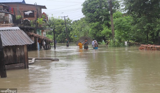 दाङको देउखुरीमा अविरल वर्षाका कारण एक दर्जन बढी घर डुबानमा