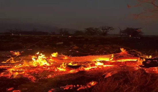 अमेरिकाको पर्यटकीय टापु हवाईमा डढेलोका कारण ५३ जनाको ज्यान गयो