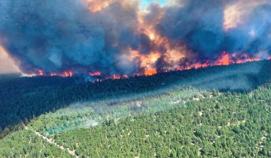 डढेलाे फैलिएकाे क्यानडाको ब्रिटिश कोलम्बियामा आपत्कालको घोषणा