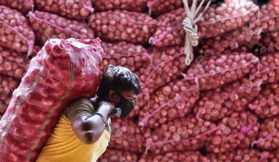 भारतले लगायो प्याज निर्यातमा ४० प्रतिशत महसुल