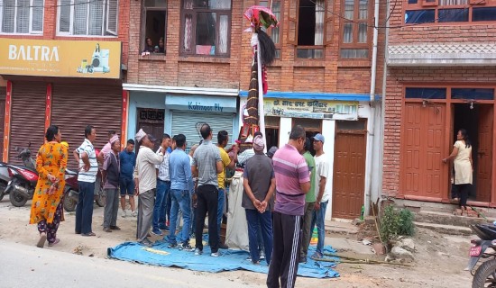 नेवार समुदायको परम्परागत सांस्कृतिक पर्व गाईजात्रा मनाइँदै