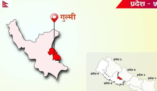 २० वर्ष नपुग्दै बिहे : गुल्मीमा करिब चार सय किशोरी आमा