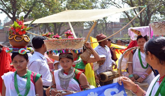 परम्परागत भोदी खेल संरक्षणमा जुट्दै थारू समुदाय