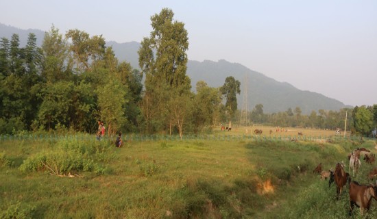 लुम्बिनीको राजधानी क्षेत्रको जग्गा ३ वर्षपछि फुकुवा, टुक्राएर बेच्न भने नपाउने