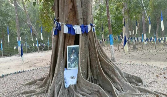 बाराको वन क्षेत्रमा रामबहादुर बम्जन र उनका अनुयायीले भोगचलन गरेको संरचना हटाउने तयारी